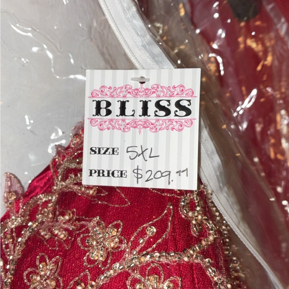 Bliss Red Dress with Gold Detailing - Picture 3 of 5